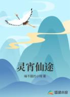 灵宵仙途