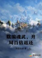 瞎编魂武，开局百倍返还