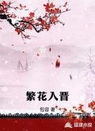 繁花入晋