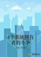 4个系统拥有者的斗争