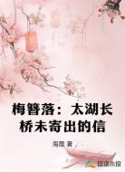 梅簪落：太湖长桥未寄出的信