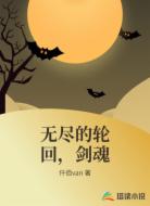 无尽的轮回,剑魂