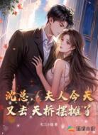 沈总,夫人今天又去天桥摆摊了