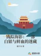 钱踪海影：一部白银与鲜血的迷藏