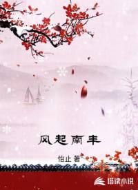 风起南丰