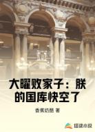 大曜败家子：朕的国库快空了