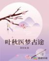 叶秋医梦古途