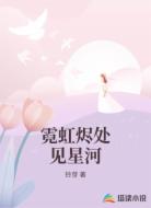 霓虹烬处见星河