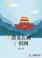 潜龙在渊：织网