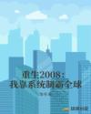 重生2008：我靠系统制霸全球