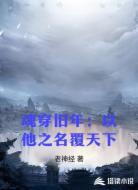 魂穿旧年：以他之名覆天下