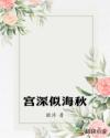 宫深似海秋