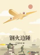 钢火边陲