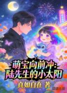 萌宝向前冲：陆先生的小太阳