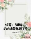 快穿：多面身份的大佬是我裙下臣