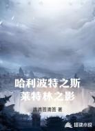 哈利波特之斯莱特林之影
