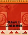极品兵王之崛起巅峰