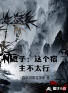 镜子：这个宿主不太行