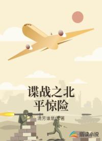 谍战之北平惊险