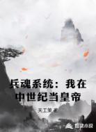 兵魂系统：我在中世纪当皇帝