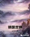 镇国龙婿