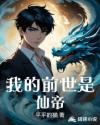 我的前世是仙帝