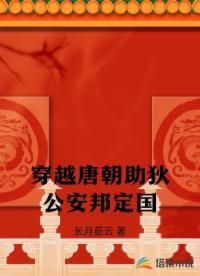 穿越唐朝助狄公安邦定国