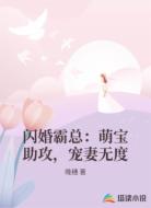 闪婚霸总：萌宝助攻，宠妻无度