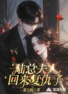 陆总夫人回来复仇了