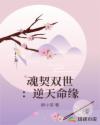 魂契双世：逆天命缘