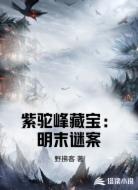 紫驼峰藏宝:明末谜案
