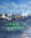 书名
