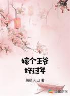 嫁个王爷好过年