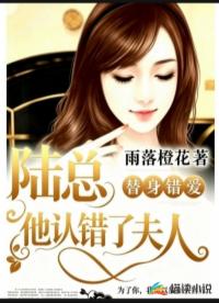 陆总他认错了夫人