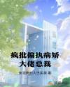 疯批偏执病娇大佬总裁