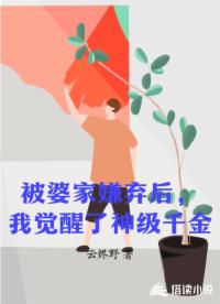 被婆家嫌弃后，我觉醒了神级千金