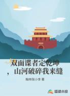 双面谍者定乾坤，山河破碎我来缝
