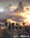 重生非洲：开局当总统