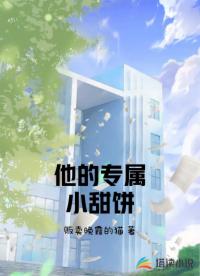 他的专属小甜饼
