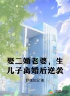 娶二婚老婆，生儿子离婚后逆袭