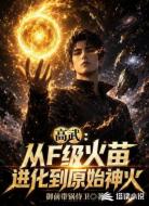 高武：从F级火苗进化到原始神火