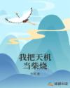 我把天机当柴烧