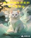 书名