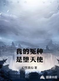 我的冤种是堕天使