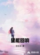 星枢回响