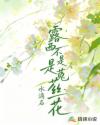露西不是菟丝花