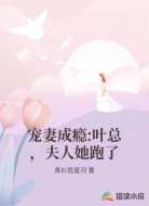宠妻成瘾:叶总,夫人她跑了