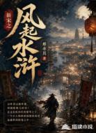 新宋之风起水浒