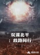 双谍北平:歧路同行