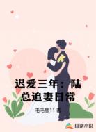 迟爱三年:陆总追妻日常